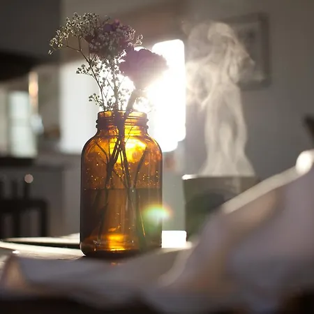 Apartament Tede Warft