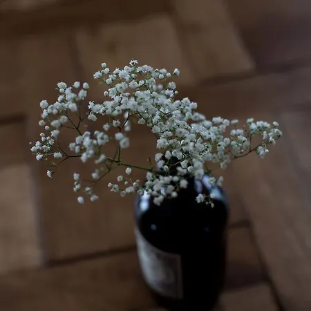 Apartament Tede Warft Pellworm