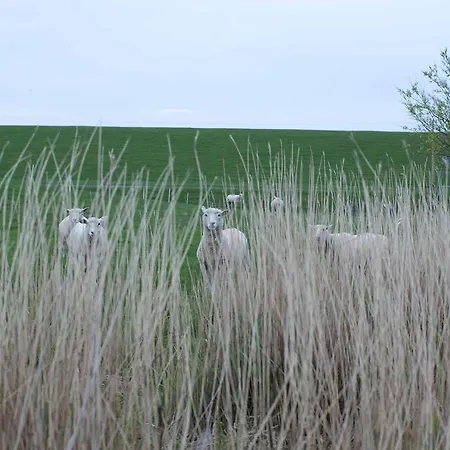 Tede Warft Apartament Pellworm