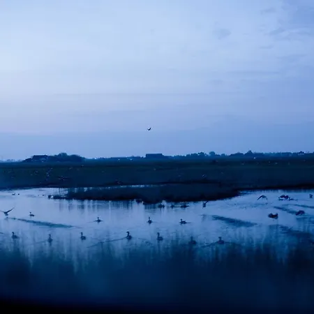 Apartament Tede Warft *