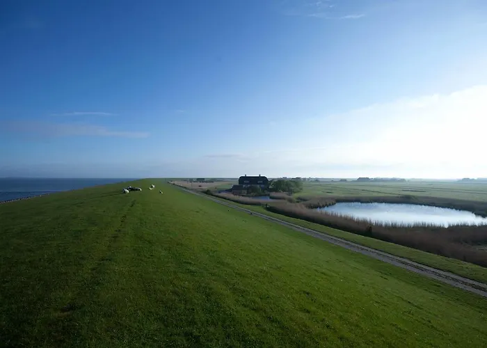 Tede Warft Apartment *