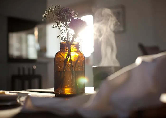 Apartment Tede Warft