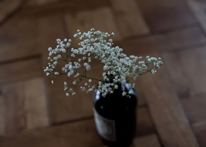 Apartment Tede Warft Pellworm