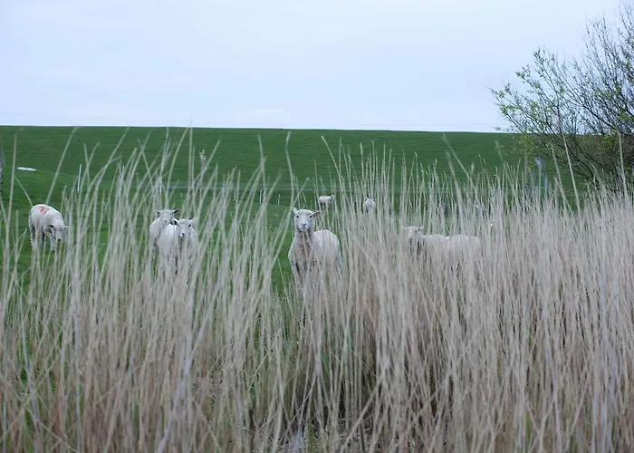 Tede Warft Apartment Pellworm