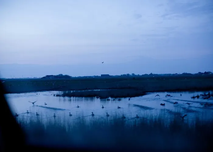 Apartment Tede Warft *