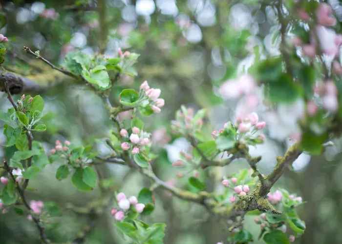 Tede Warft Apartment Pellworm